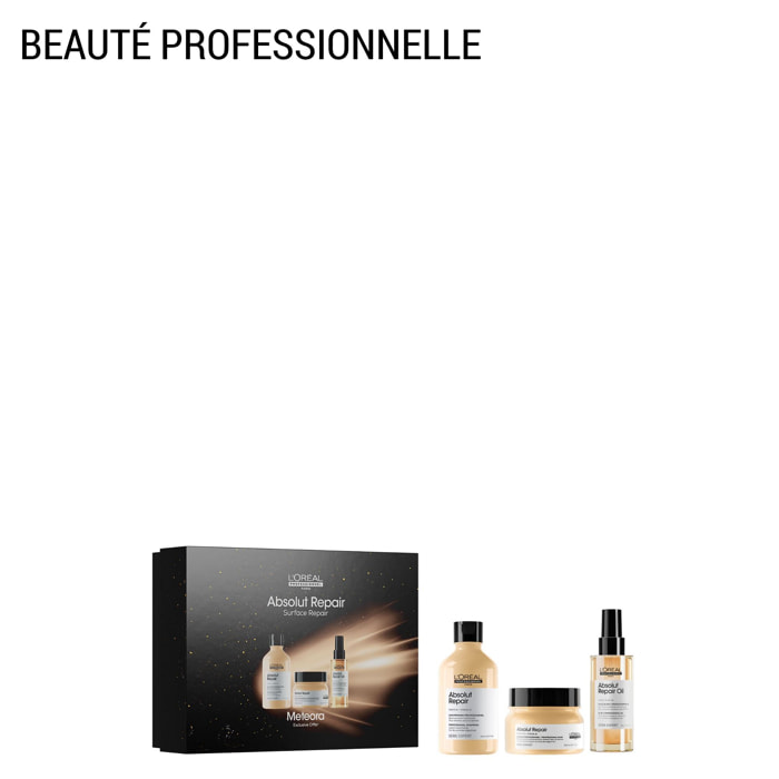 Serie Expert Absolut Repair - Coffret Shampooing 300 ml + Masque 250 ml + Huile 10 en 1 90 ml