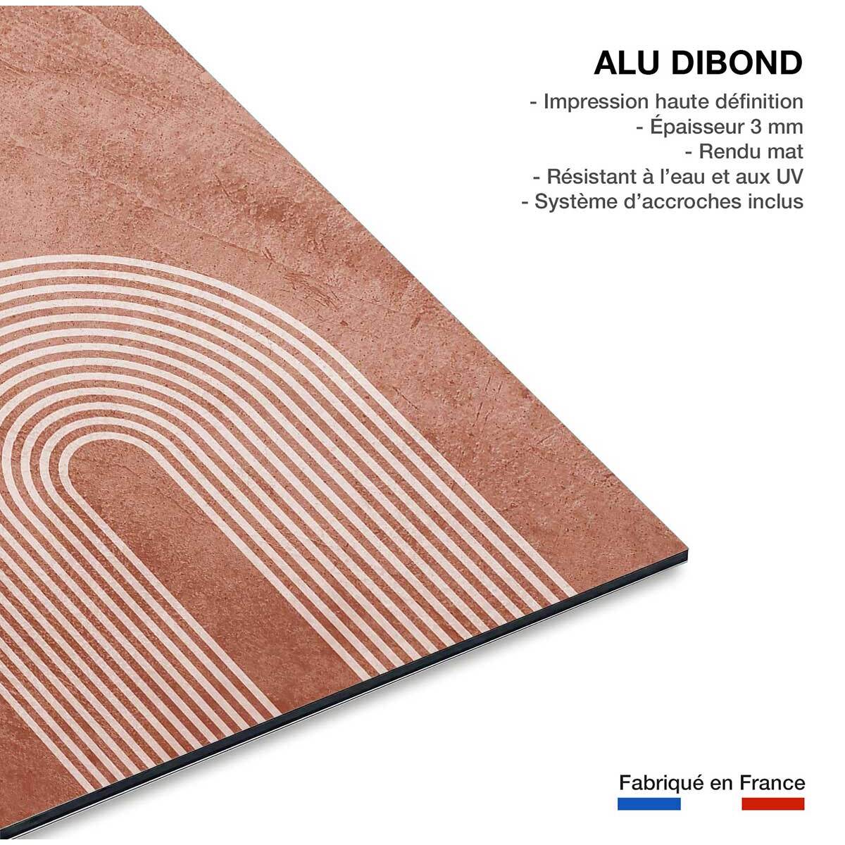 Tableau organique arche rose  Tableau alu Dibond