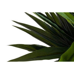 Planta Yucca Gloriosa Con Maceta 55x55x145 Cm