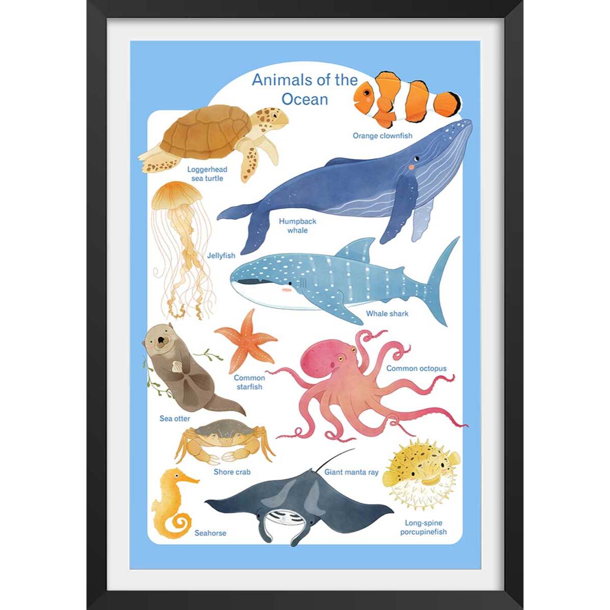 Affiche enfant animaux marins  Affiche sous cadre noir