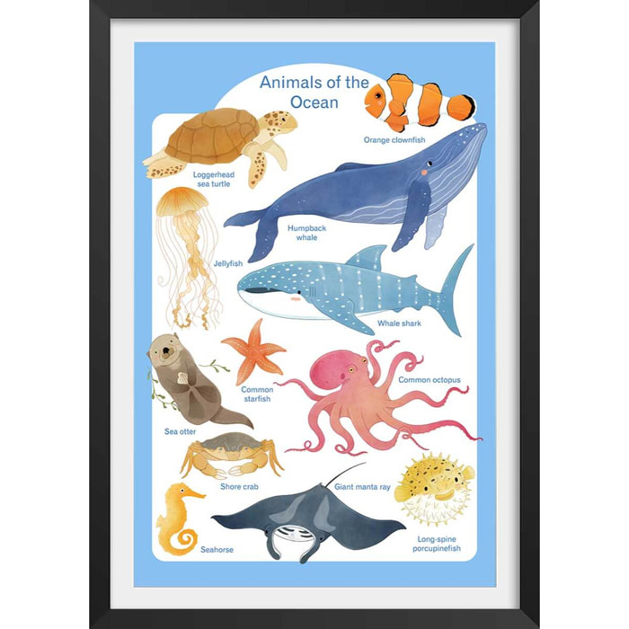 Affiche enfant animaux marins  Affiche sous cadre noir