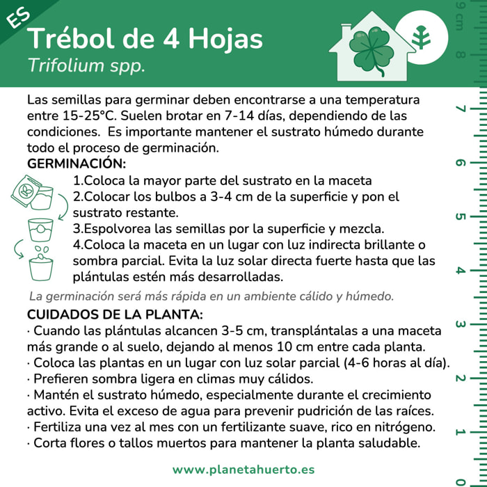 PLANETA HUERTO | Kit de Autocultivo Trébol Planeta Huerto – Cultivo Sencillo para Atraer la Suerte y Decorar tu Hogar