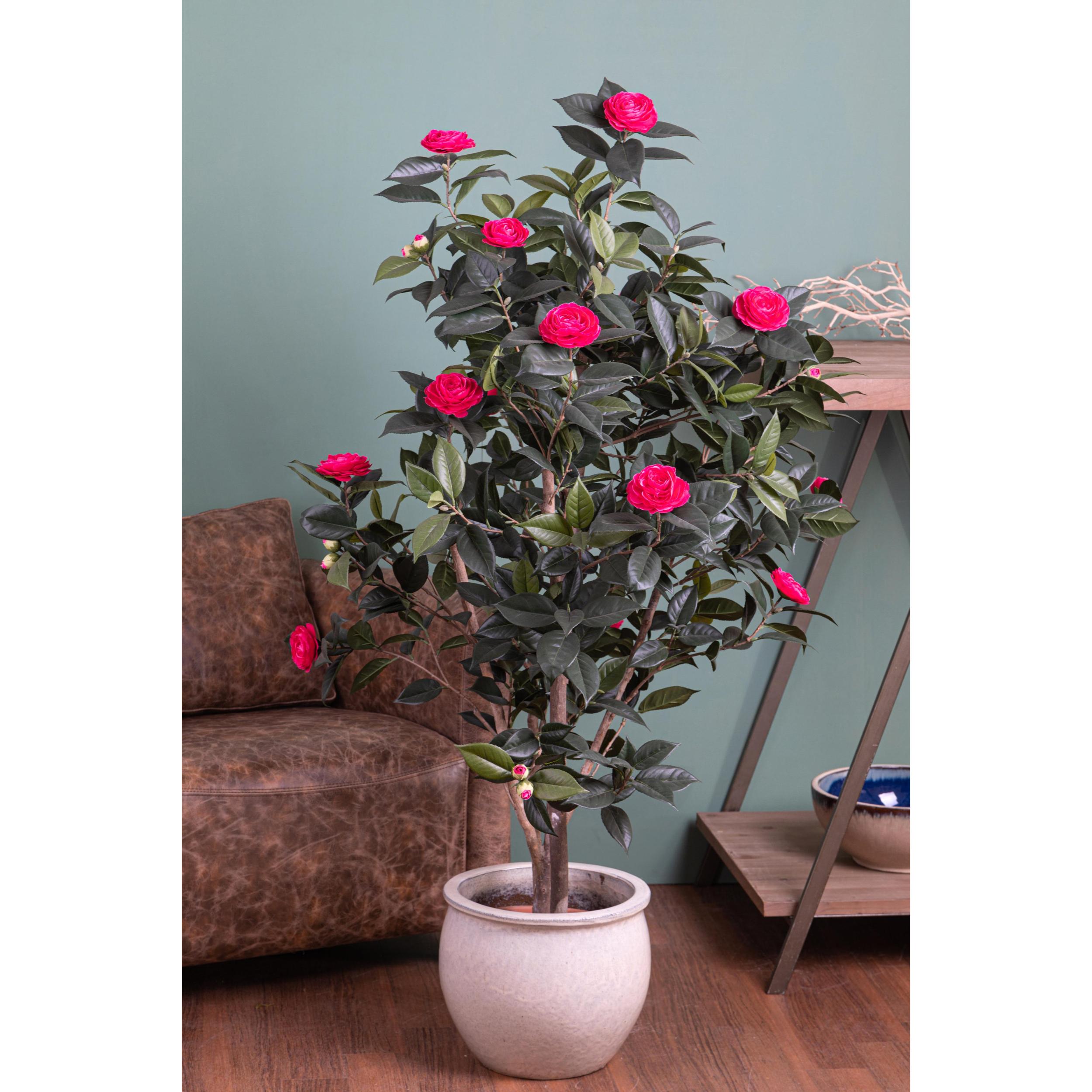 Albero Di Camelia Con 678 Foglie E 28 Fiori. Altezza 143 Cm - Pezzi 1 - 80X143X80cm - Colore: Rosa - Bianchi Dino - Piante Artificiali