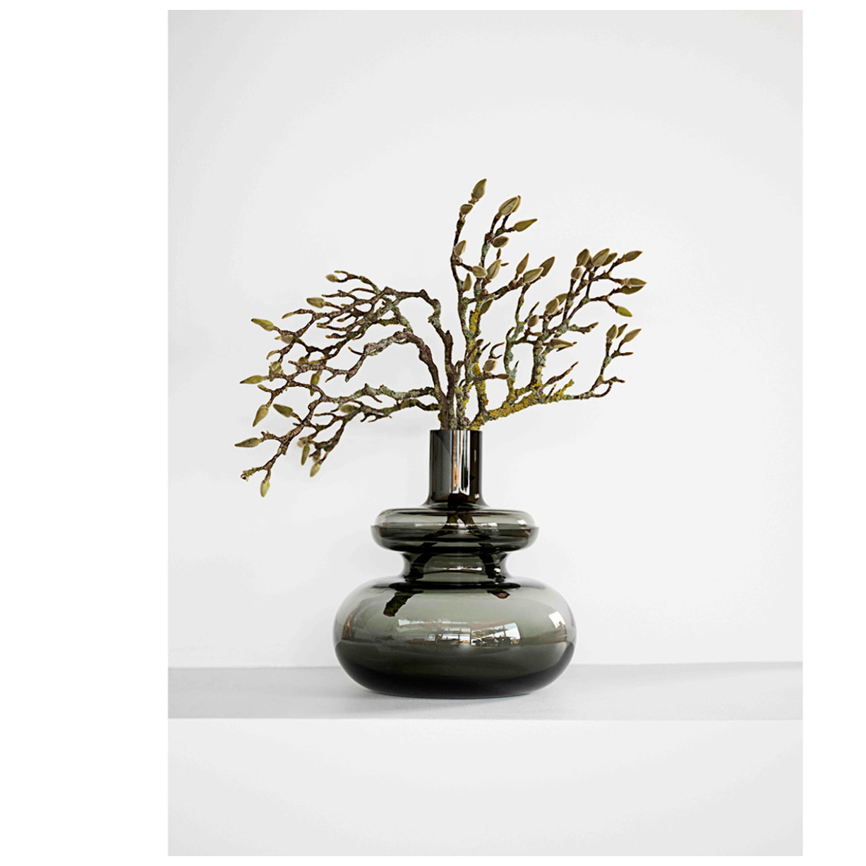 Vase Inu