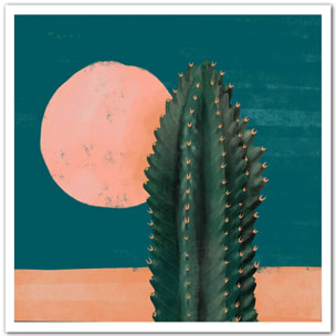 Affiche illustration cactus et soleil rose Affiche seule