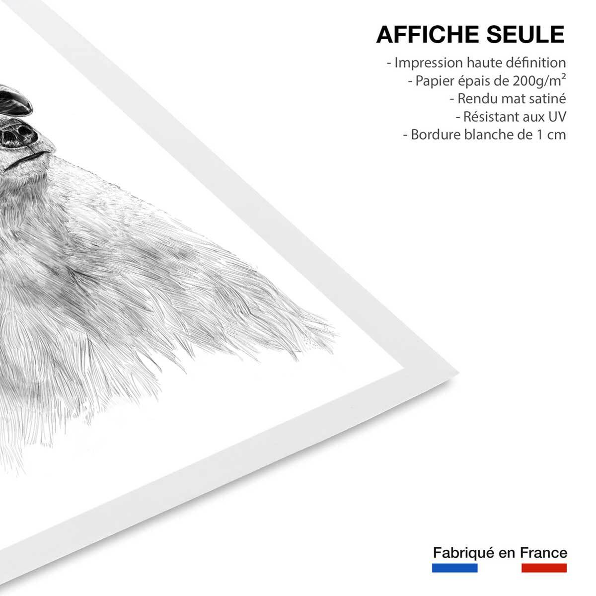 Affiche enfant ours polaire et lunette  Affiche seule