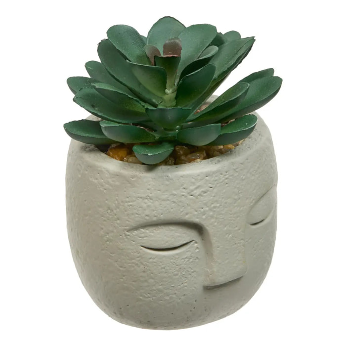 Plante artificielle Teri 9 cm avec Pot visage