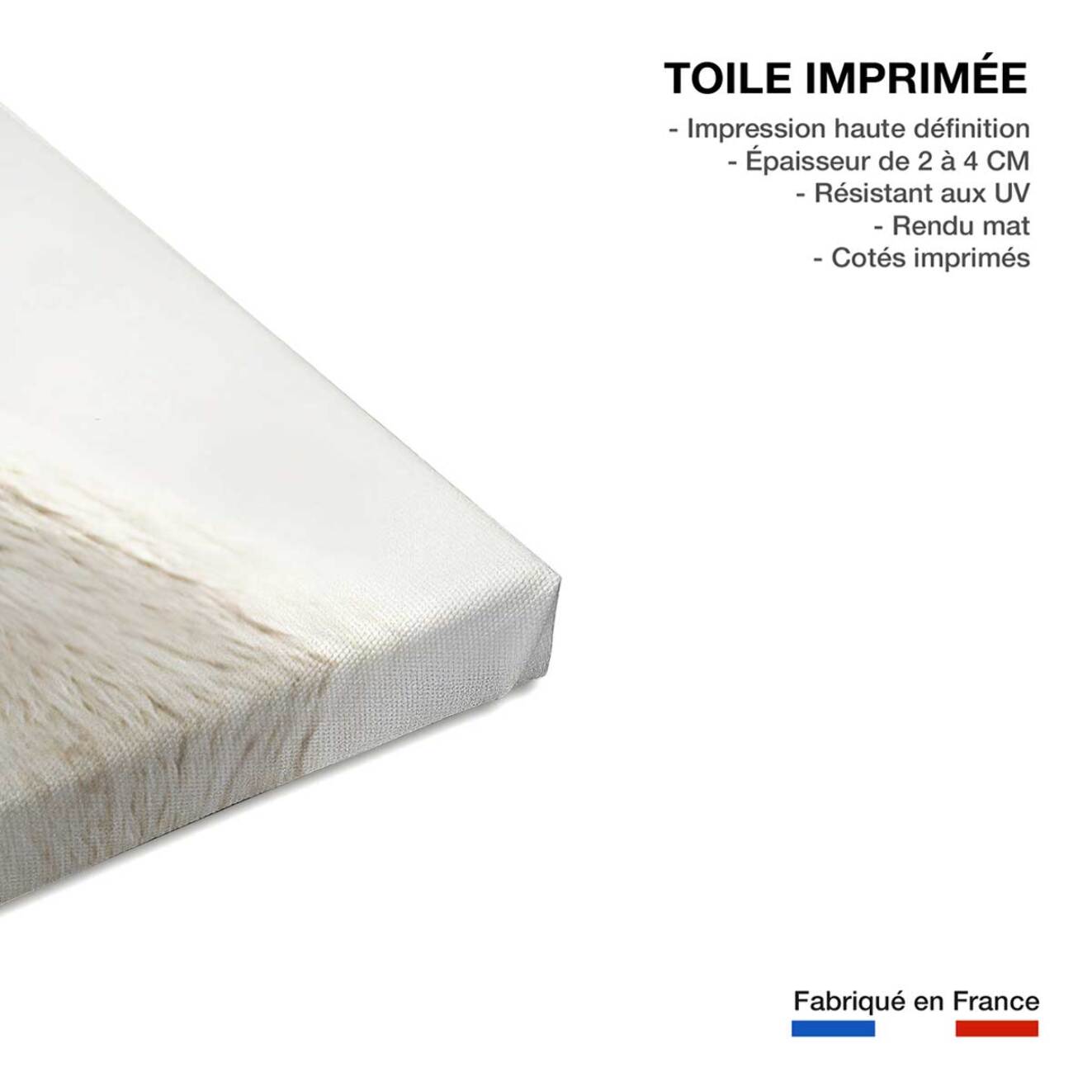 Tableau animaux lama laine  Toile imprimée