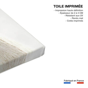 Tableau animaux lama laine  Toile imprimée