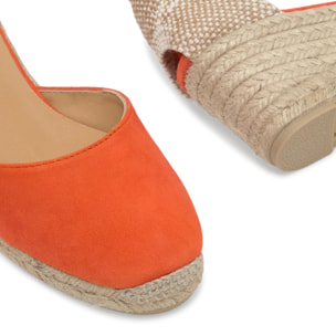 Alpargata de cuña Carina en ante con cierre de cordones