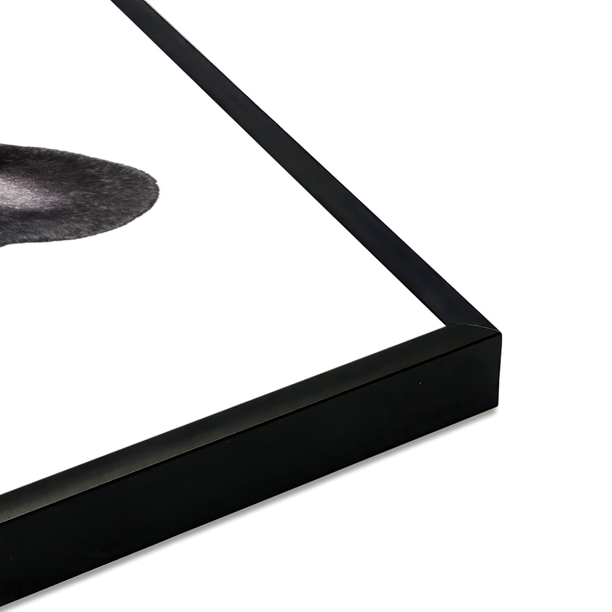 Affiche encadrée bouledogue français noir Affiche + cadre en métal - Noir