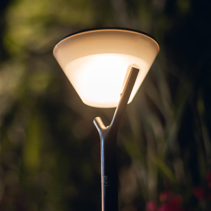 EZIlight® Solar peaky cup