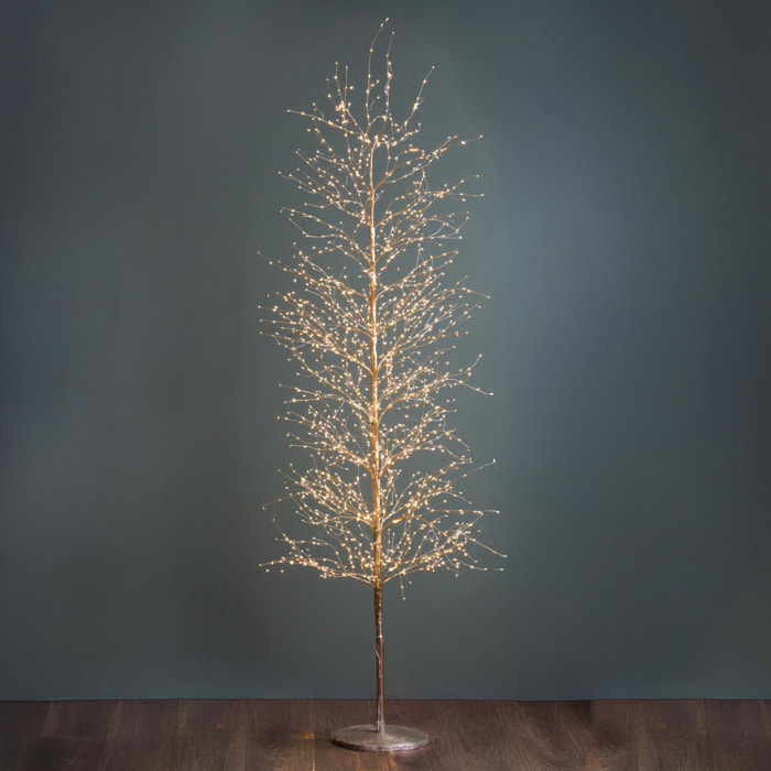 Faggio - Pezzi 1 - 30xH210x30cm - Bianchi Dino SpA