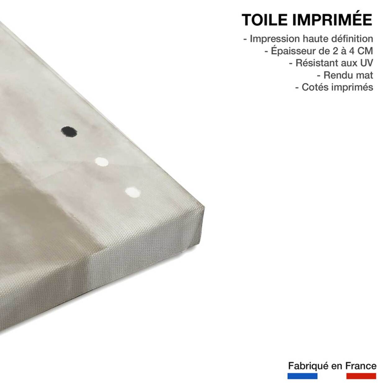 Tableau abstrait et soft line n°3 Toile imprimée