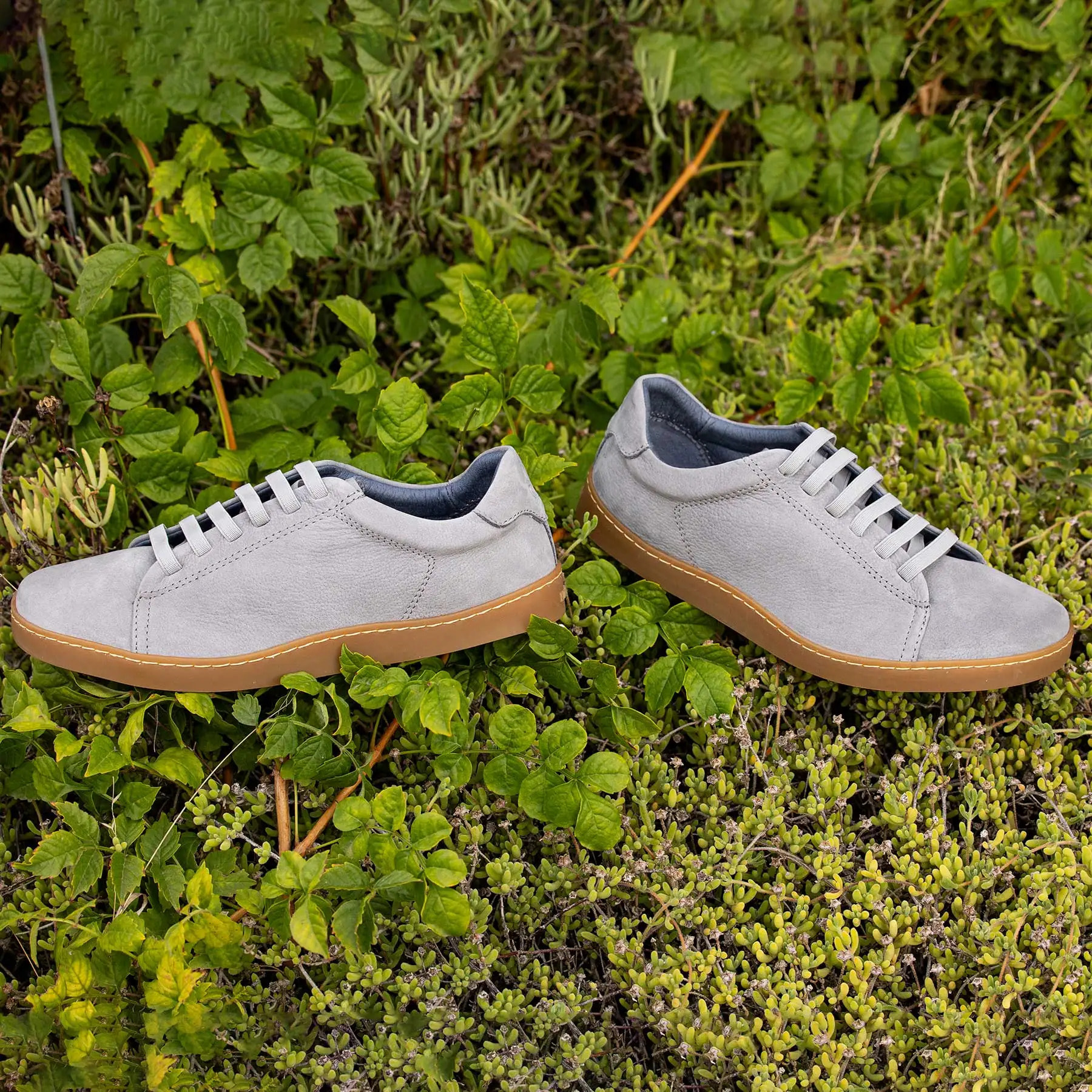 Zapatos N5910L NOBUCK LAVADO CREAM/ ORIGEN color Cream