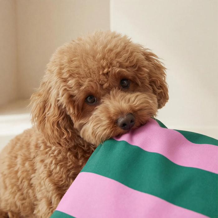 Housse antitaches pour lit pour animal Copo