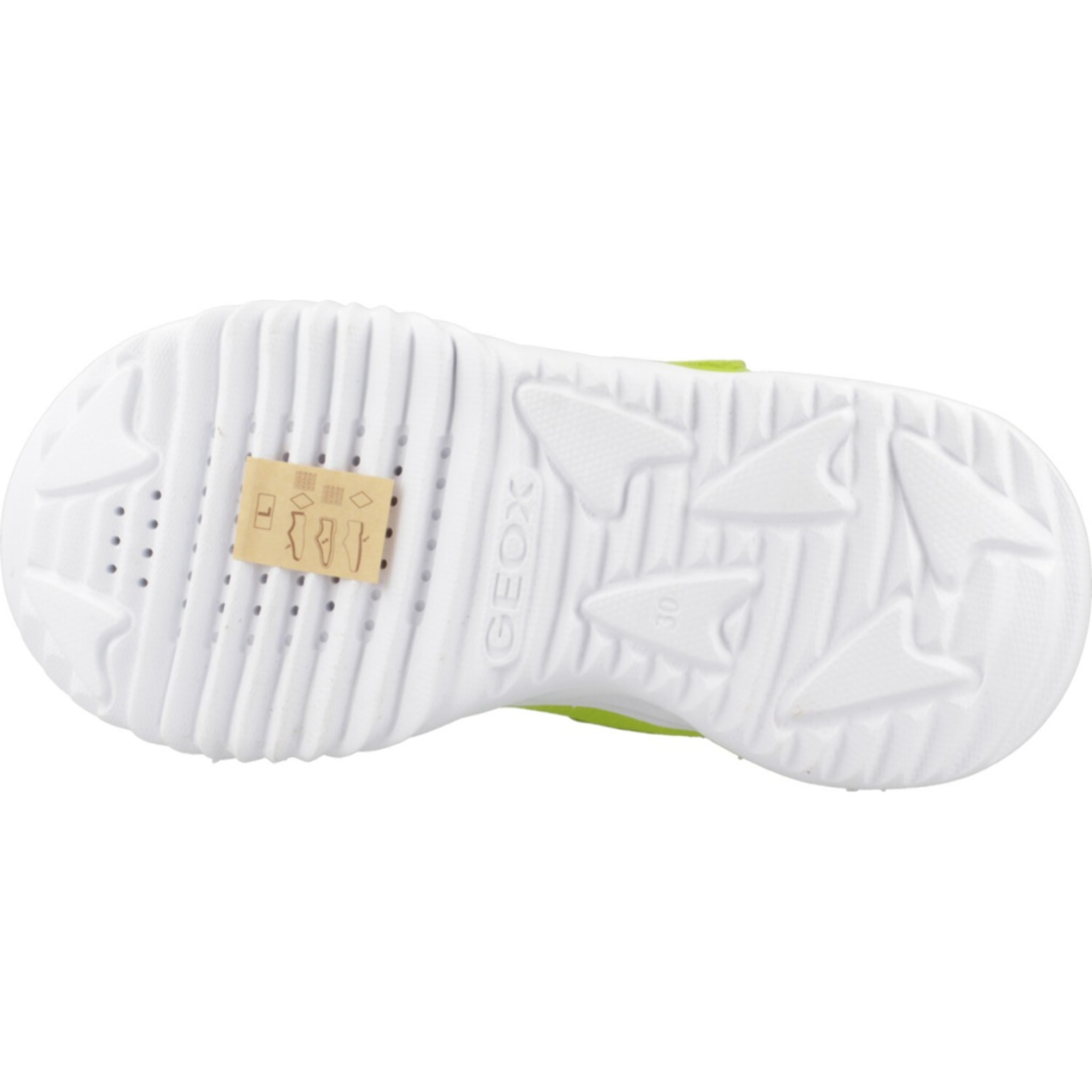 Zapatillas Niño de la marca GEOX  modelo J ASSISTER BOY Green