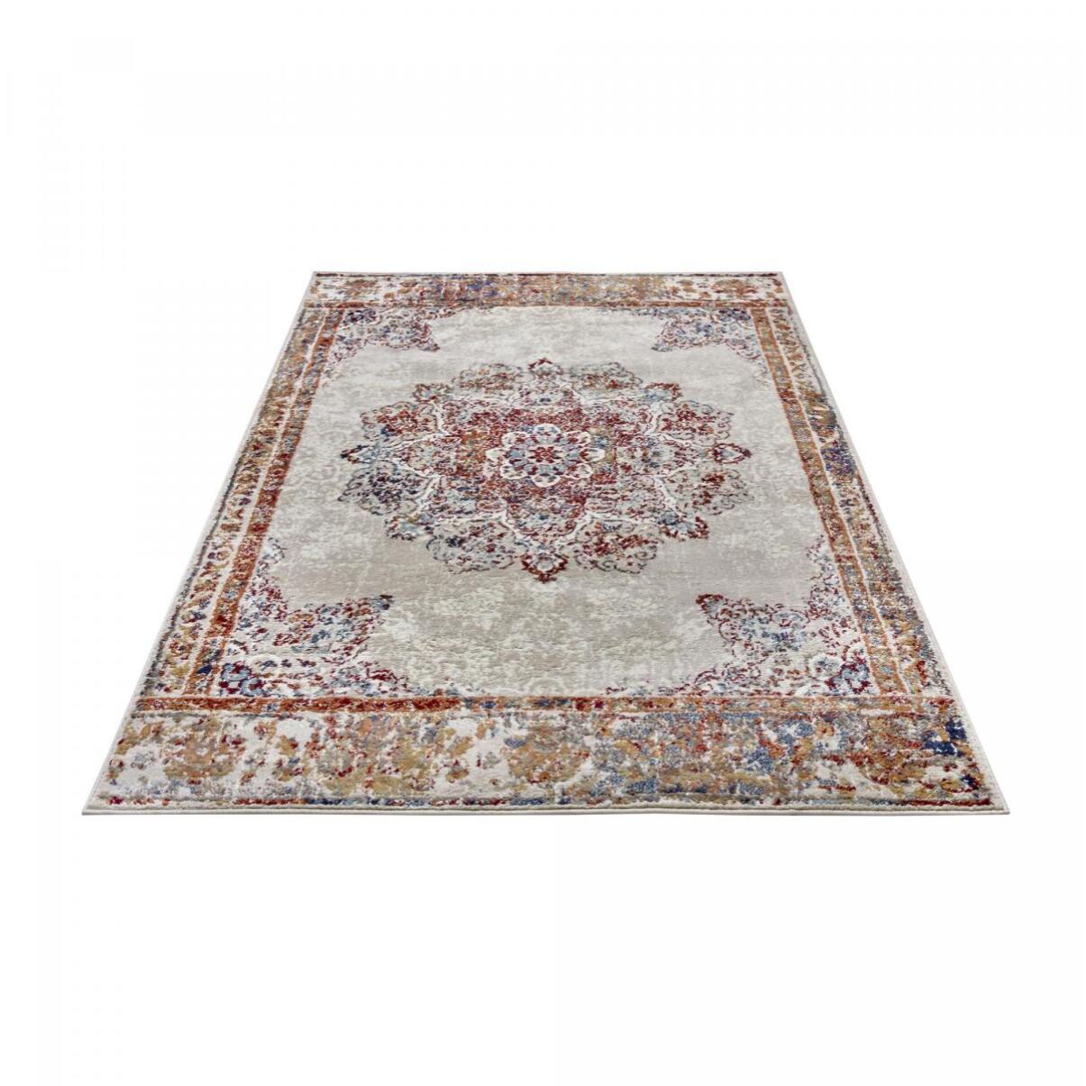 Tapis salon Rectangulaire Oriental