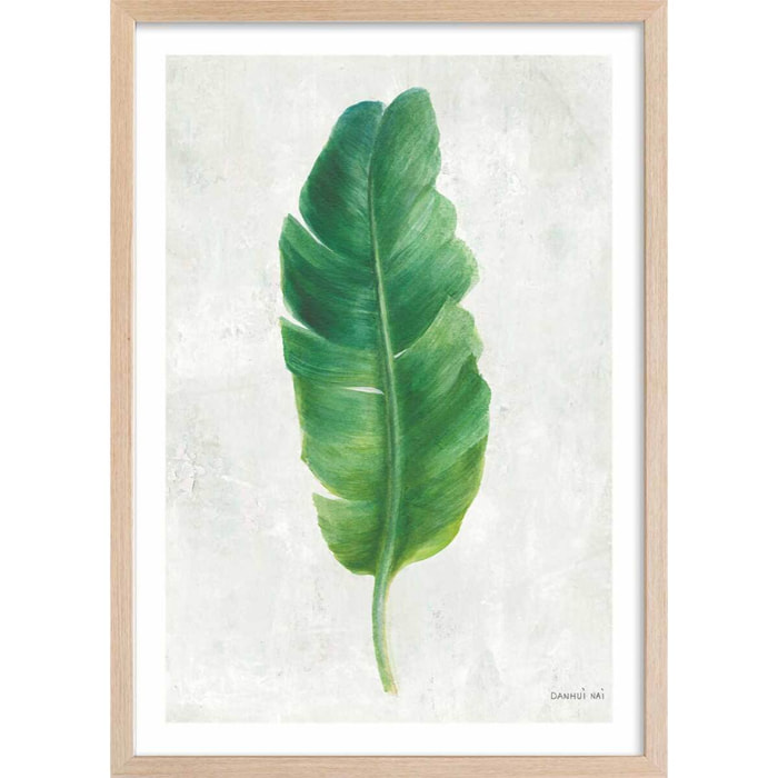 Affiche Feuille de bananier illustrée Affiche + cadre en bois - Chêne