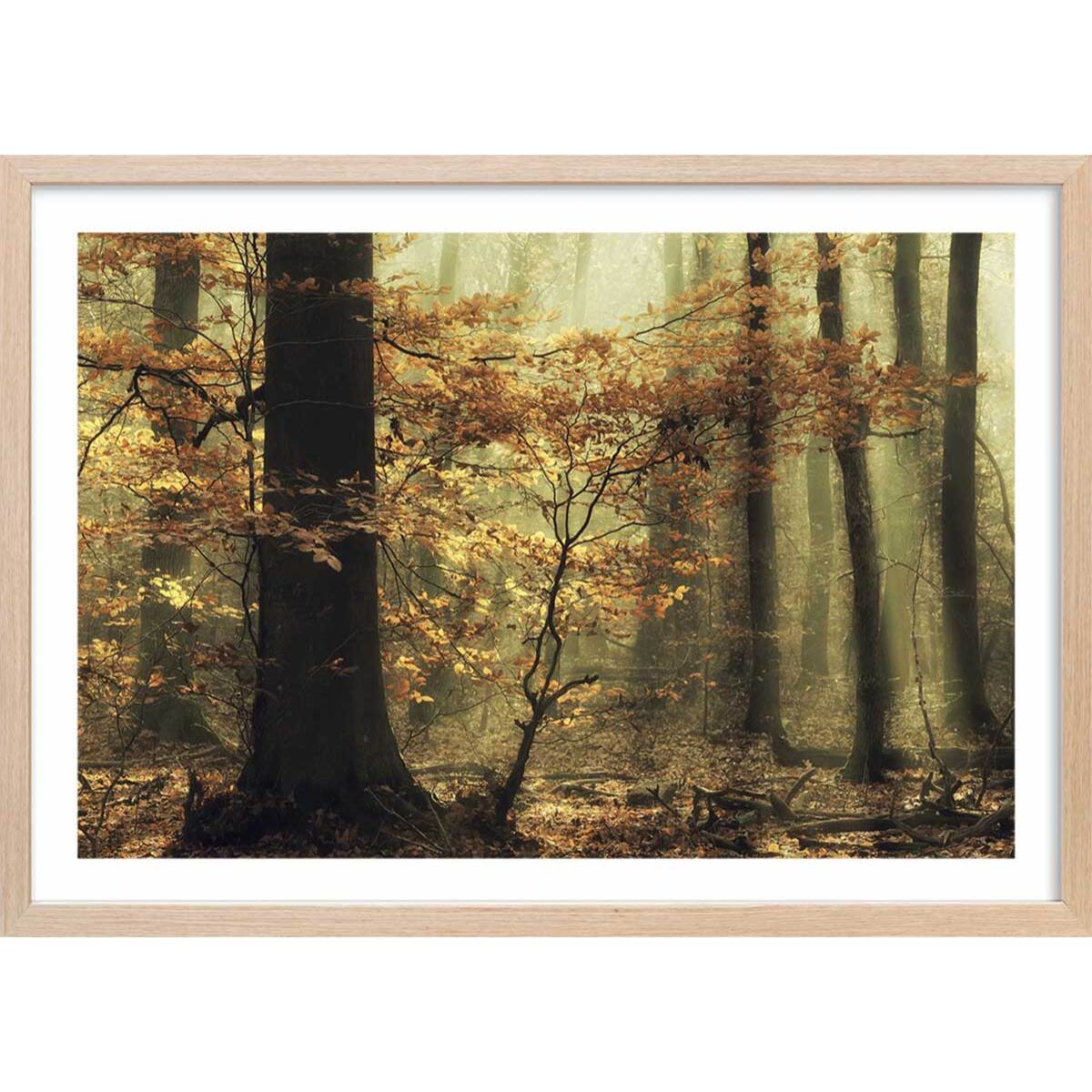 Affiche ""les feuilles d'automne"" Affiche + cadre en bois - Chêne