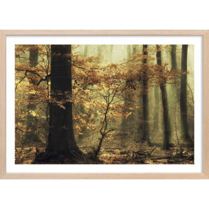 Affiche ""les feuilles d'automne"" Affiche + cadre en bois - Chêne