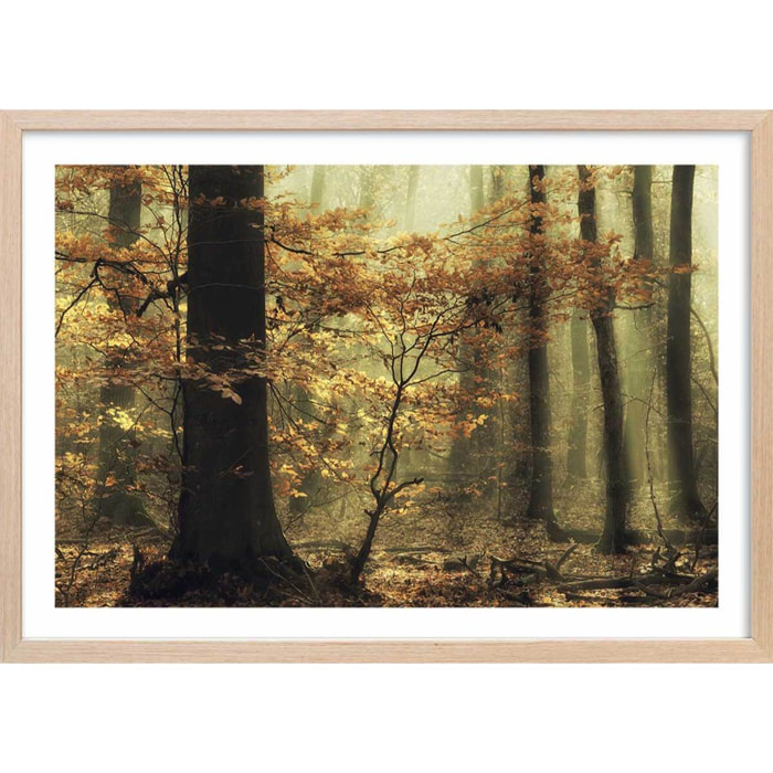 Affiche ""les feuilles d'automne"" Affiche + cadre en bois - Chêne