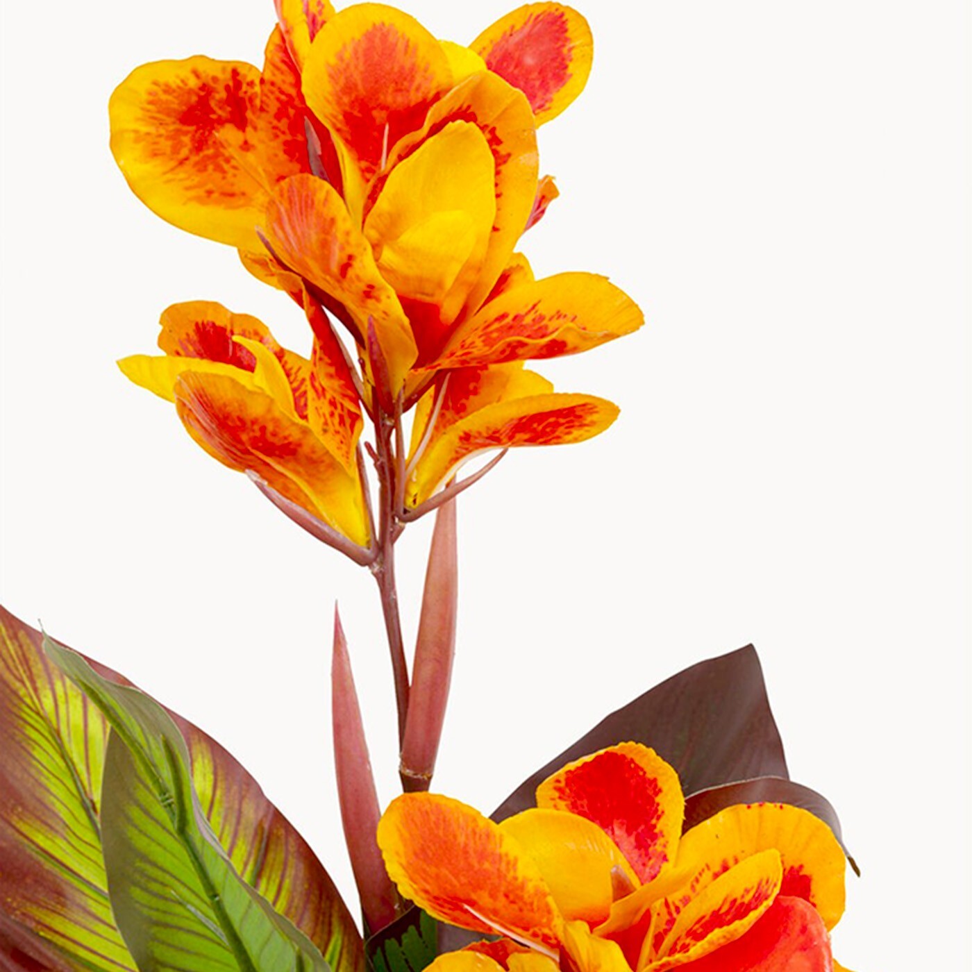 Plante décorative Canna Lily 115cm Kare Design