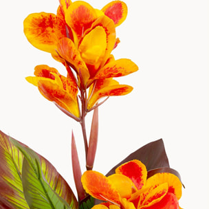 Plante décorative Canna Lily 115cm Kare Design