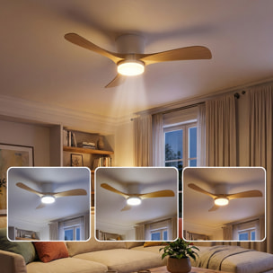 Ventilateur Plafond LED ALIYA D132CM