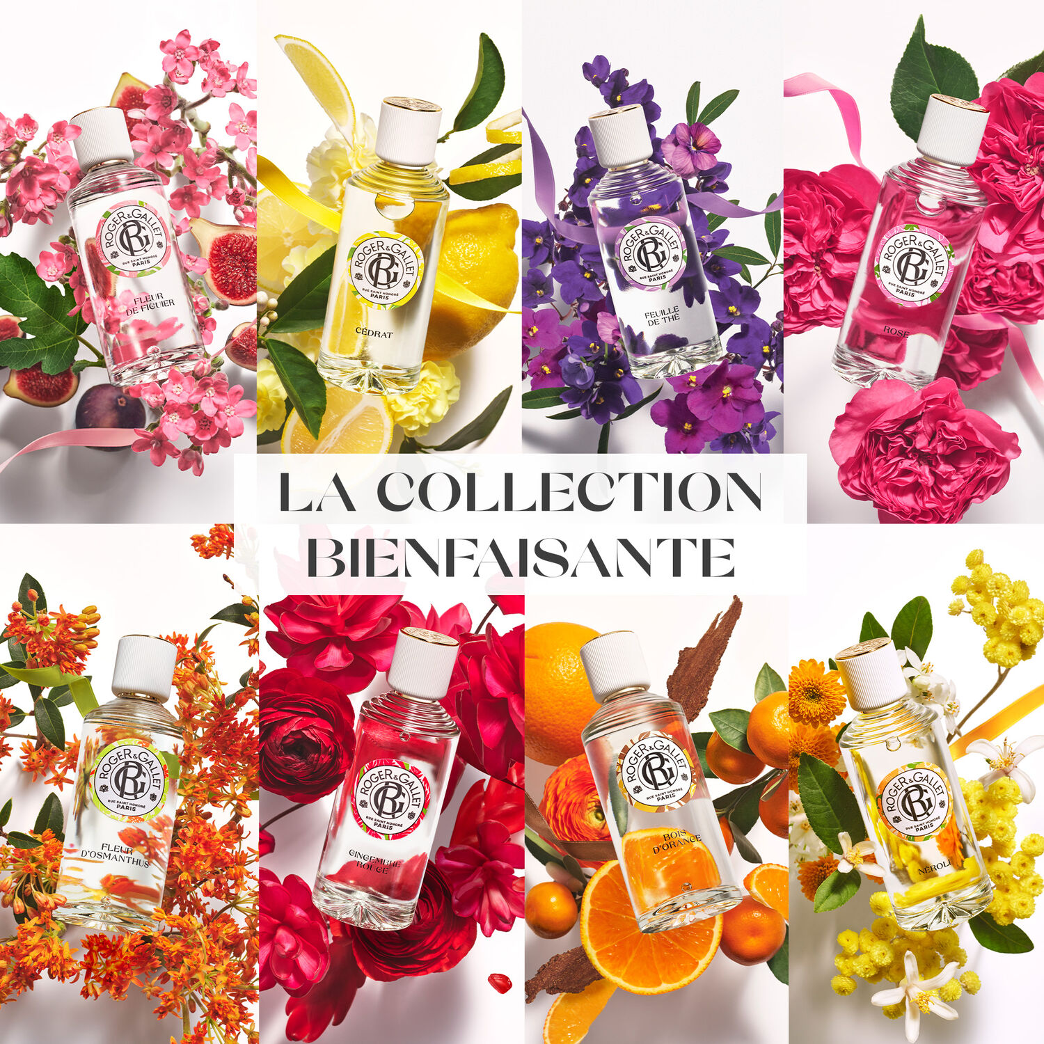 Bois d'Orange - Coffret Savons Bienfaisants