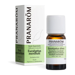 Pranarom - Huile Essentielle d'Eucalyptus mentholé - 10 ml