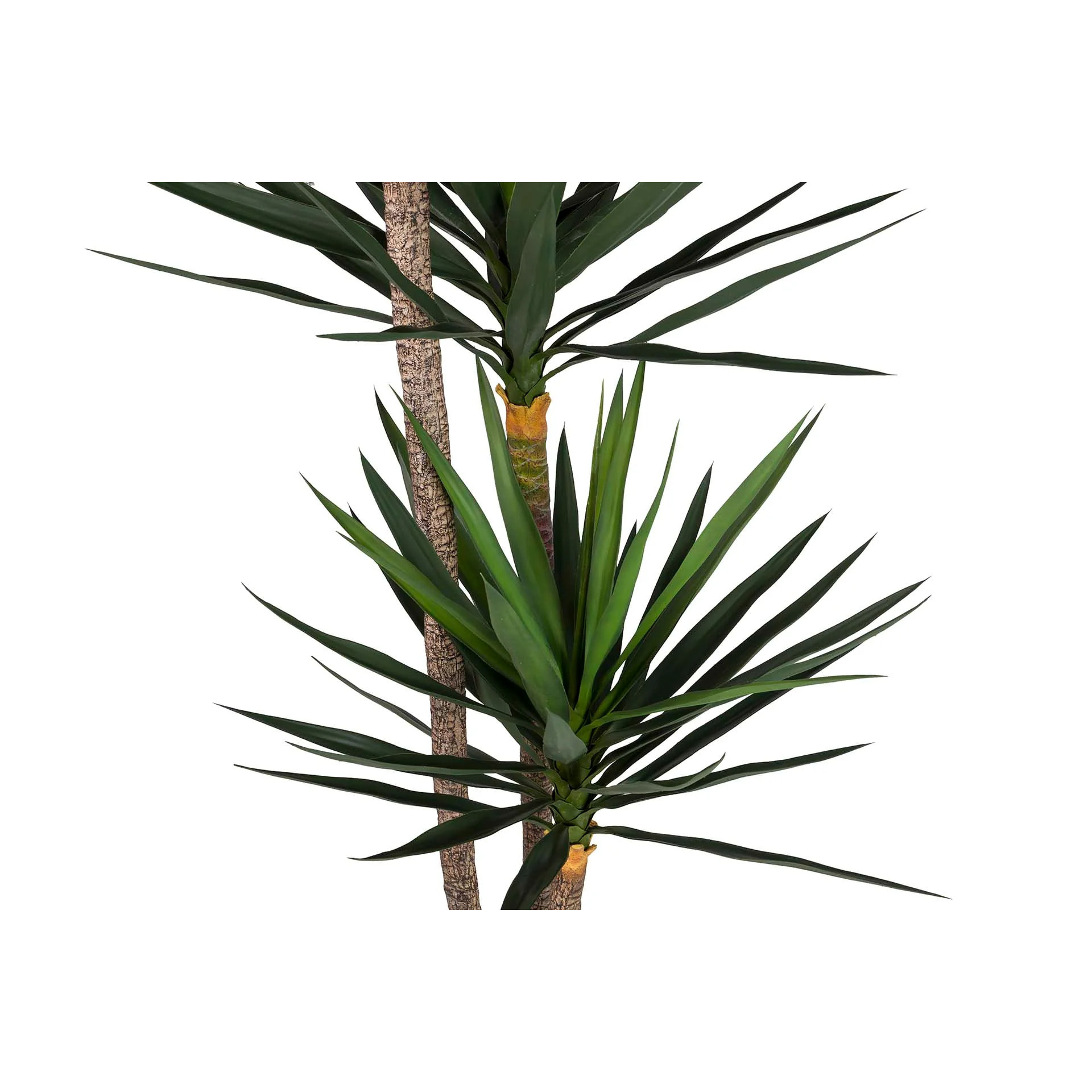 Planta Yucca Con Maceta 70x70x250 Cm