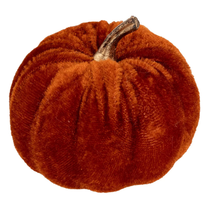 PLF CITROUILLES VELOURS X5