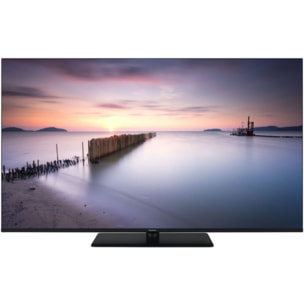 TV QLED PANASONIC TV-65W80AEZ