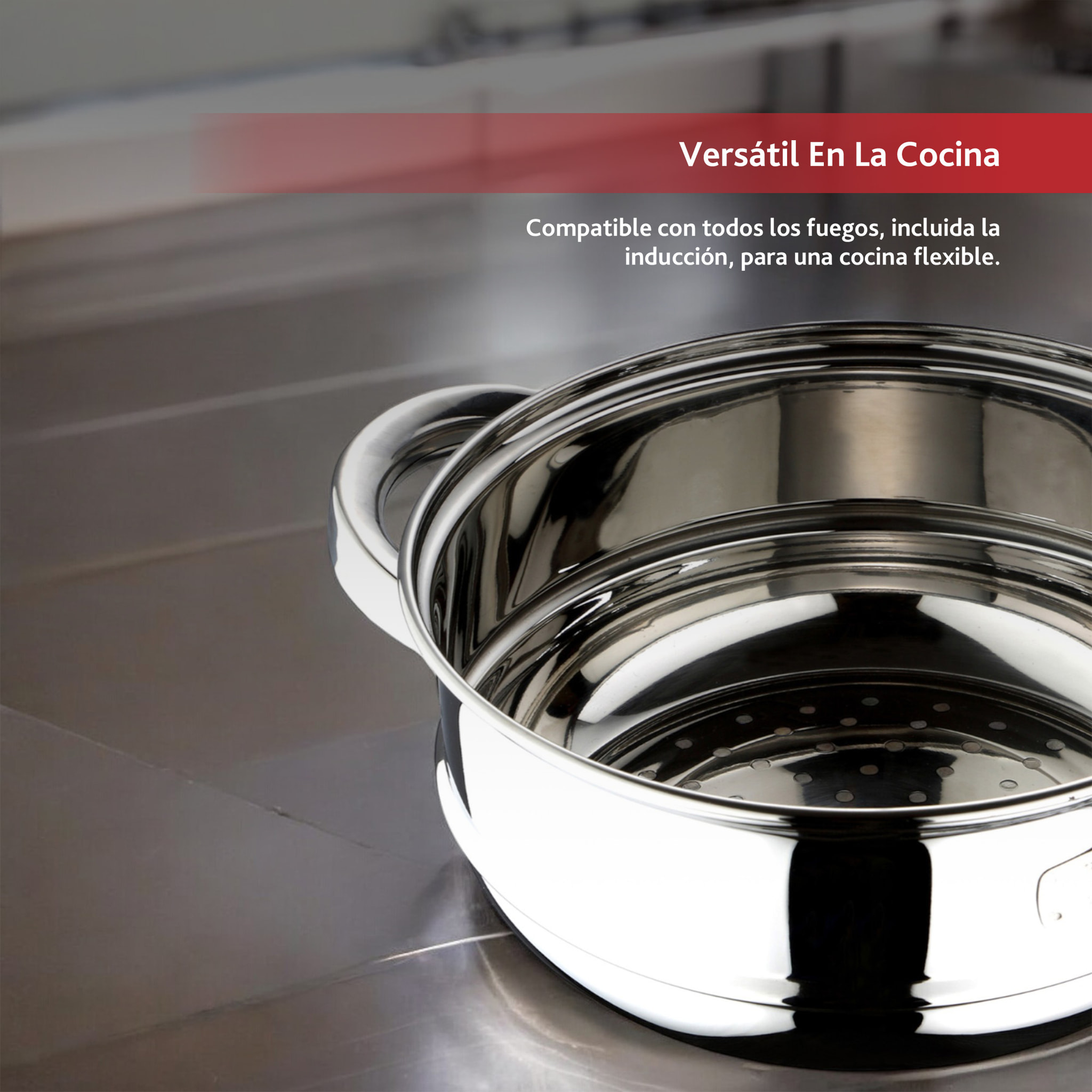 Cacerola Vaporera de Ø18x7,5cm en acero inoxidable y acabado brillante Renberg