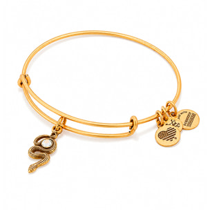 Pulsera Alex And Ani Mujer A16EB68RG