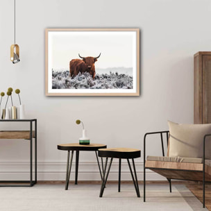 Poster highland sous la neige Affiche + cadre en bois - Chêne