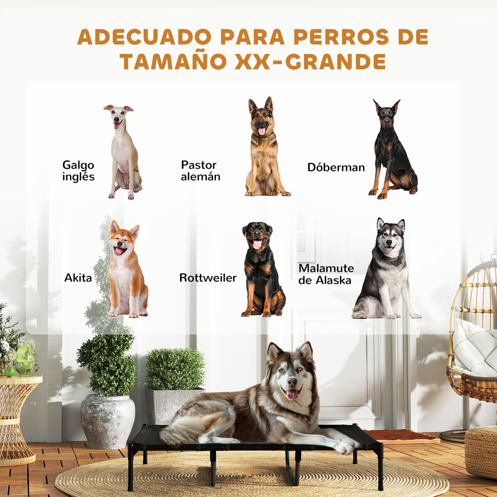 Cama Elevada para Perros Gatos Portátil Cama para Mascotas con Zona de Malla Transpirable y Tela Oxford para Interior Exterior 122x92x23 cm Negro