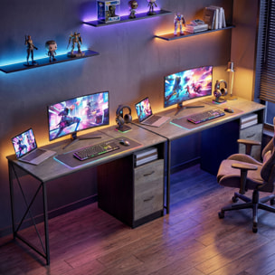 Mesa de Ordenador, 120x50 cm, Escritorio de Ordenador Industrial con Compartimento y 2 Cajones, para A4, Cartas, para Oficina, Estudio, Gris Claro