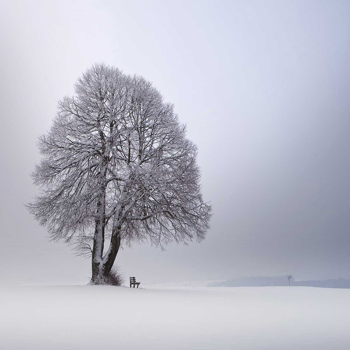 Tableau paysage Lumière d' hiver Toile imprimée