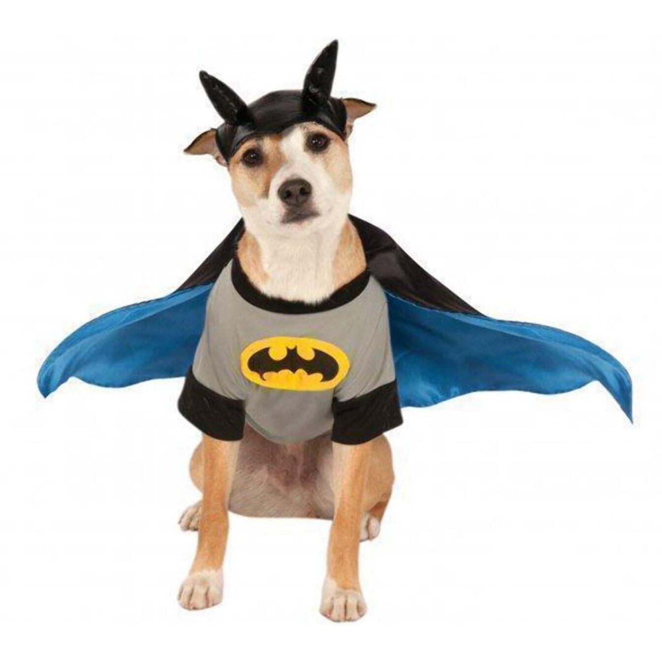 DISFRAZ BATMAN MASCOTA
