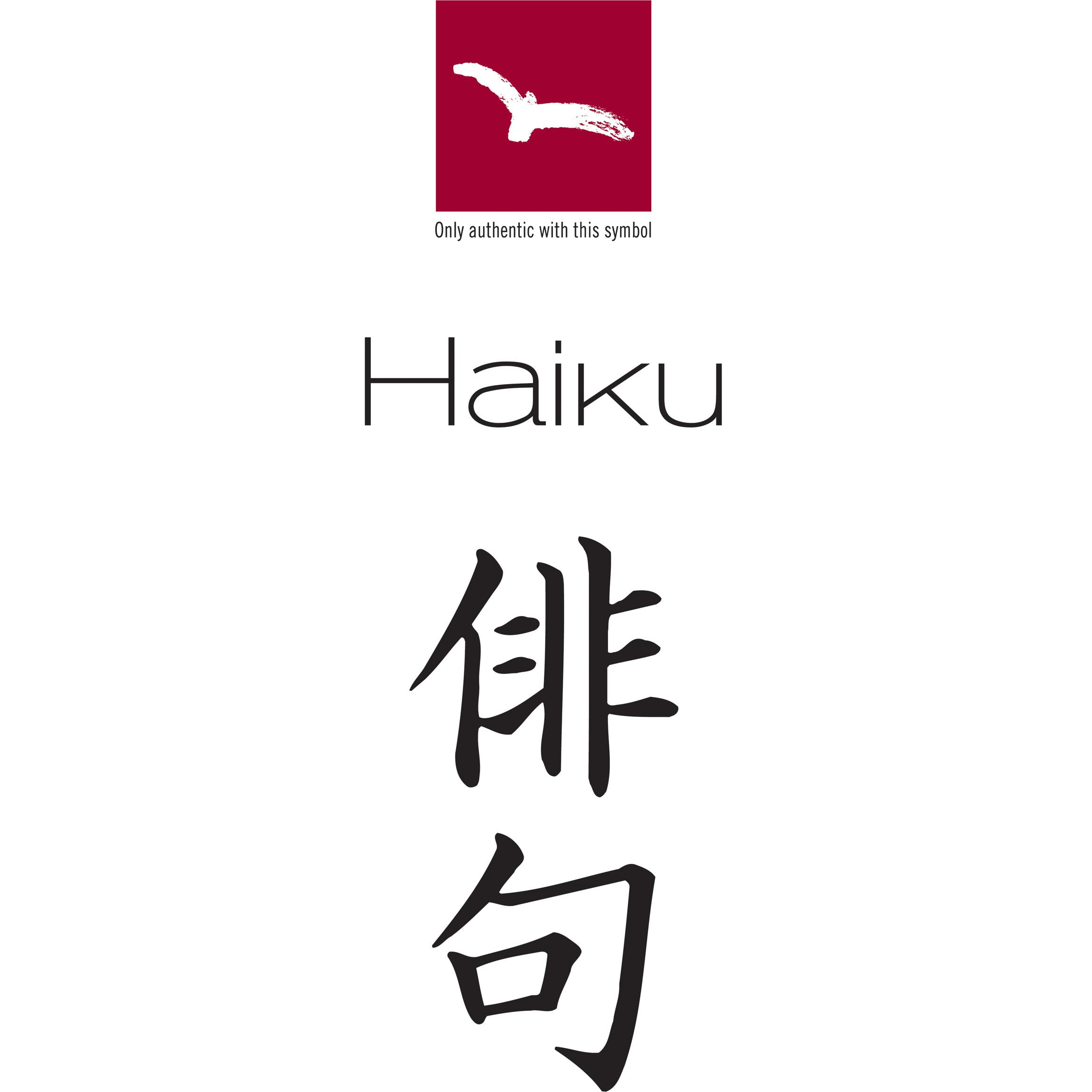 Mallette 5 couteaux japonais Haiku Home