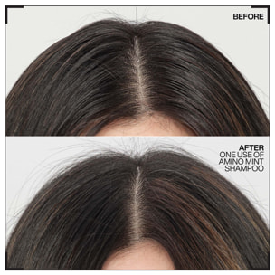Amino Mint - Shampoing Purifiant Pour  Racines Grasses Pointes Sèches 300 ml
