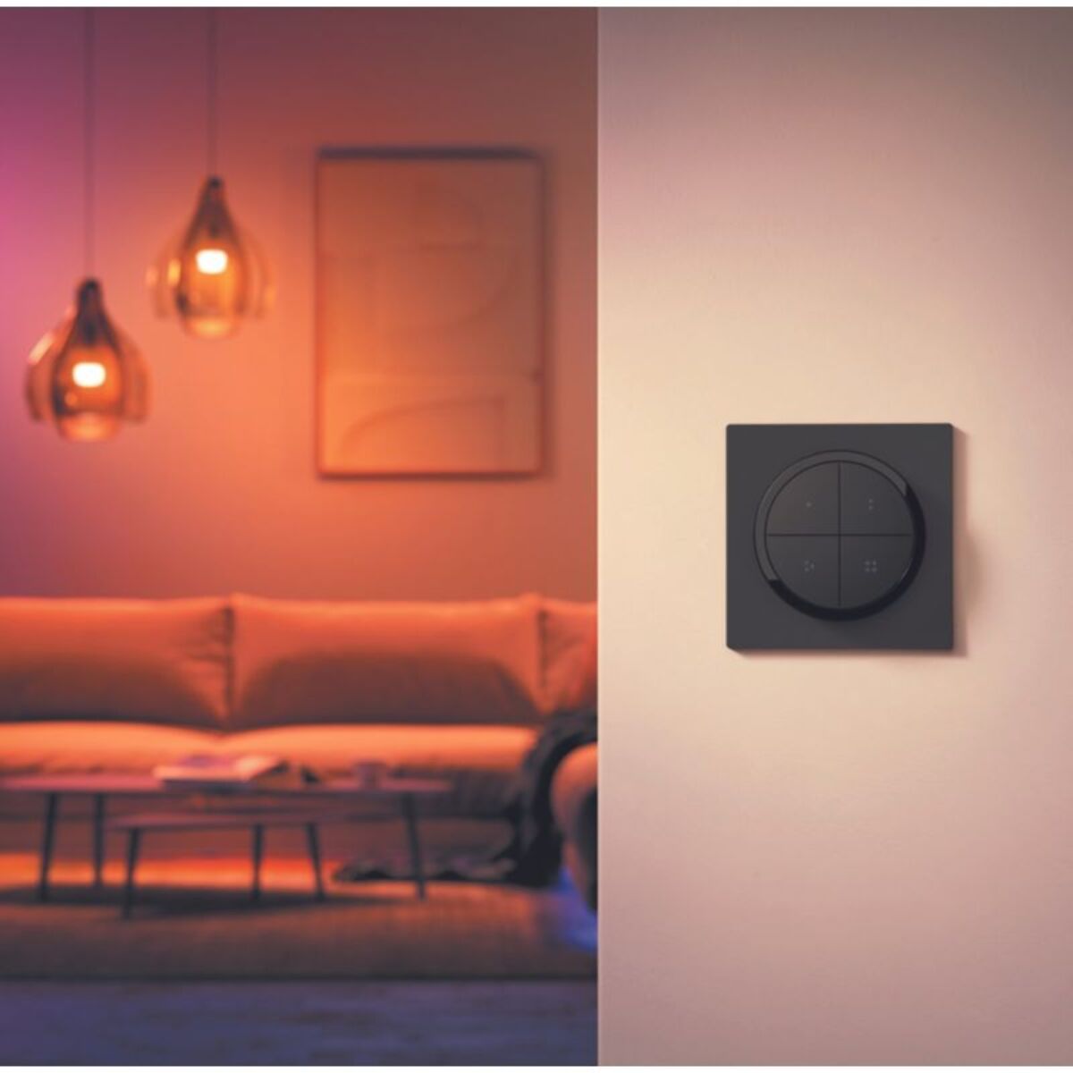 Interrupteur PHILIPS HUE Tap dial switch Noir