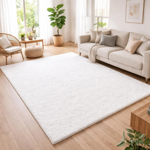 Tapis poils longs shaggy tissé motif uni ZASIVE