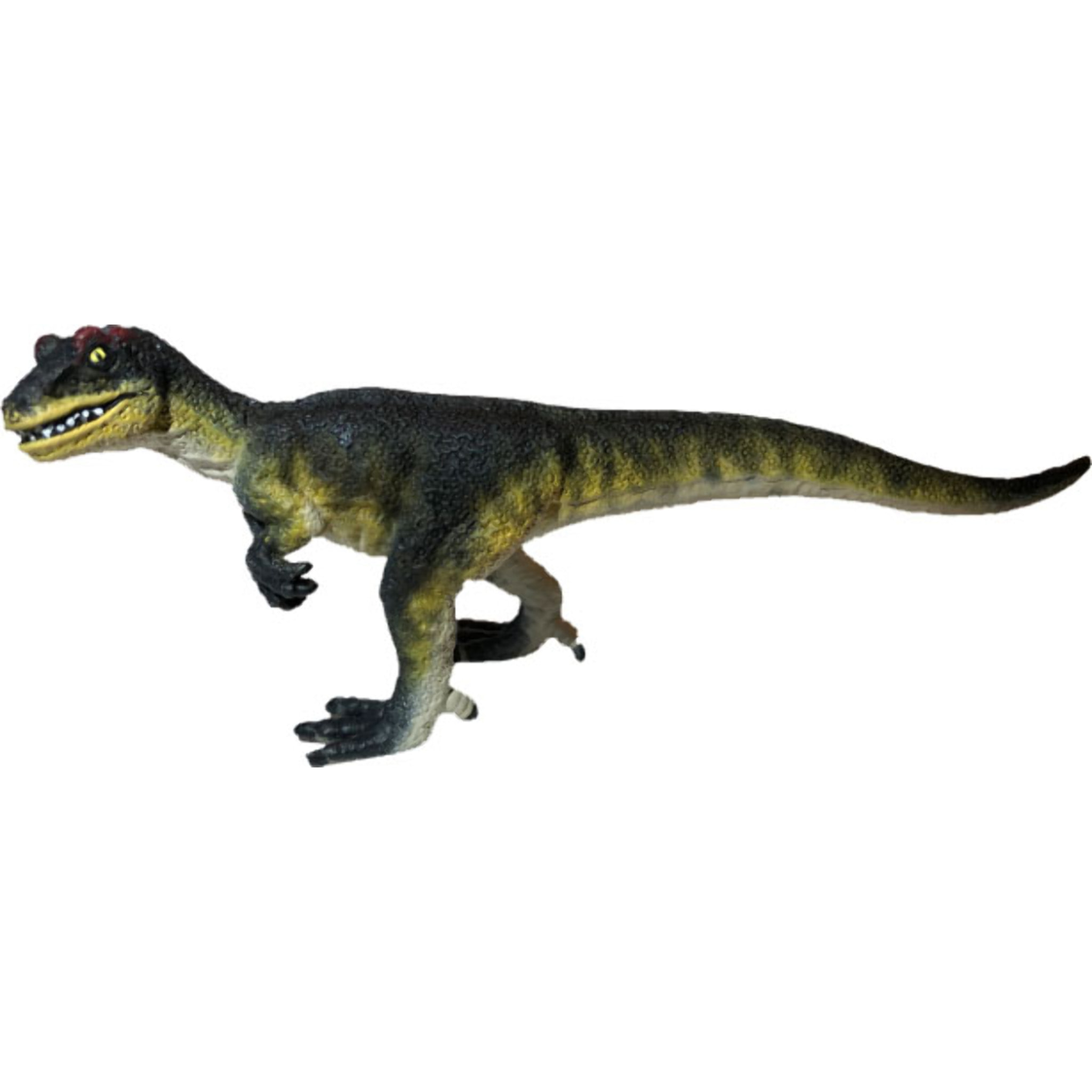 Dinosauri/Mini-Dinosauri Allosauro