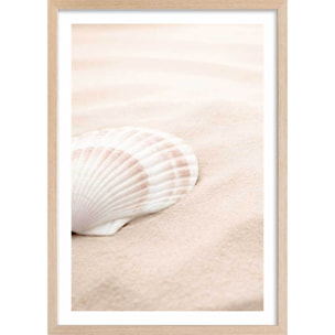Poster coquillage Affiche sous cadre bois