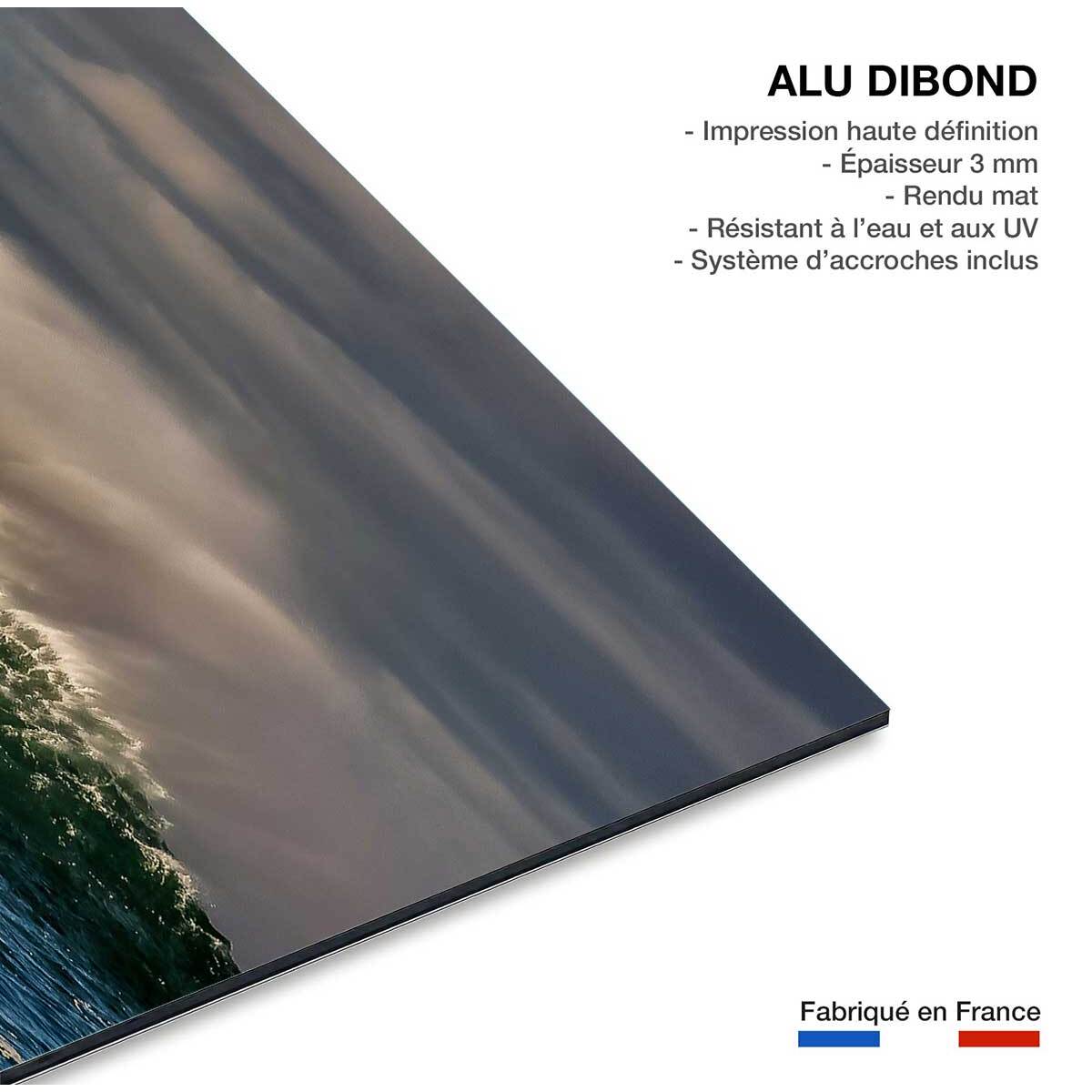 Tableau paysage ocean vague belharra  Tableau alu Dibond