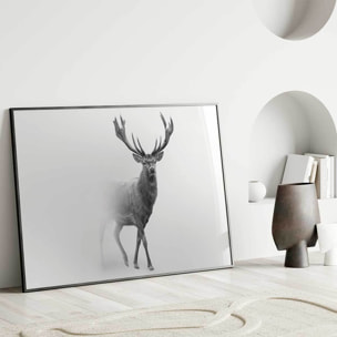 Affiche encadrée cerf en noir et blanc dans la brume Affiche + cadre en métal - Noir