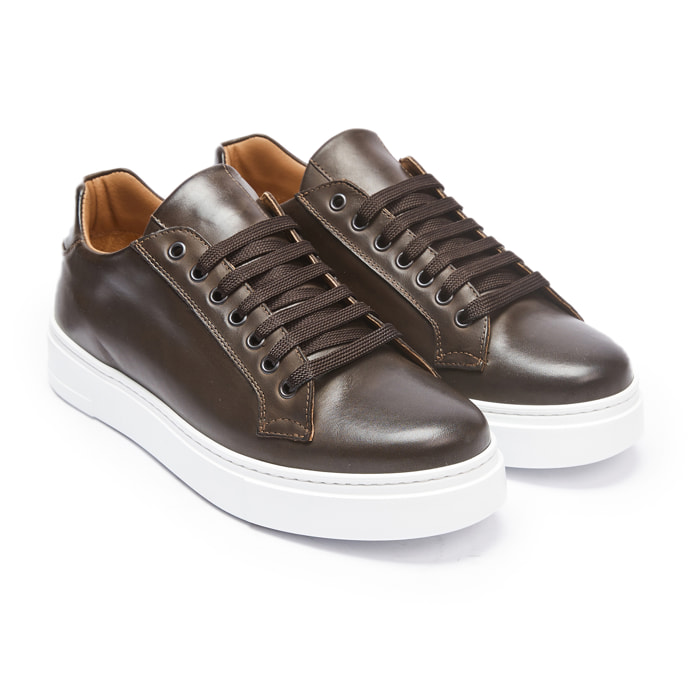 Classic Lace-up Sneaker British Passport Testa di moro